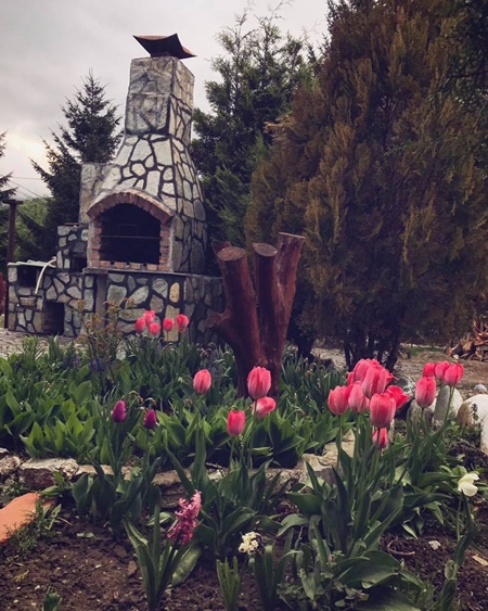 Exterior - Pensiunea Florina, Poiana Mărului, Caraș Severin