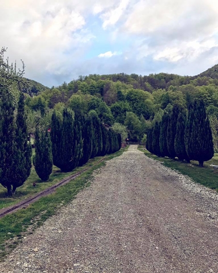 Exterior - Pensiunea Florina, Poiana Mărului, Caraș Severin